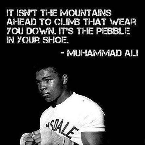 Inspirational Quotes: Quote of the day