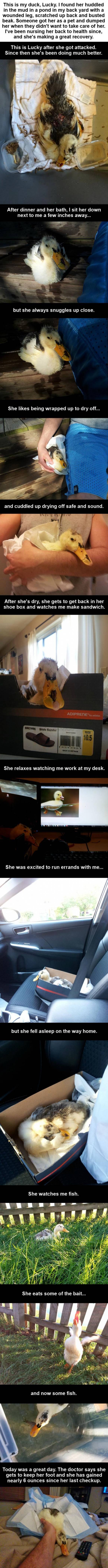 You lucky duck