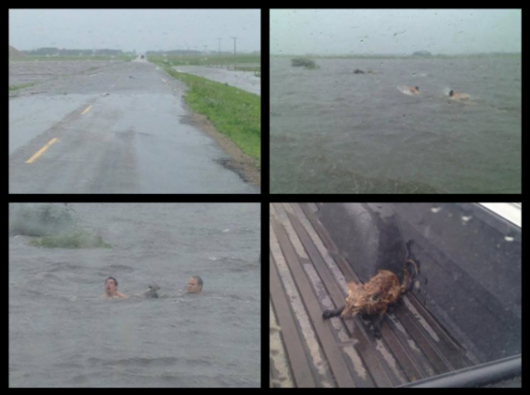 It rained 8 inches in southern Saskatchewan and these guys saved drowning foxes