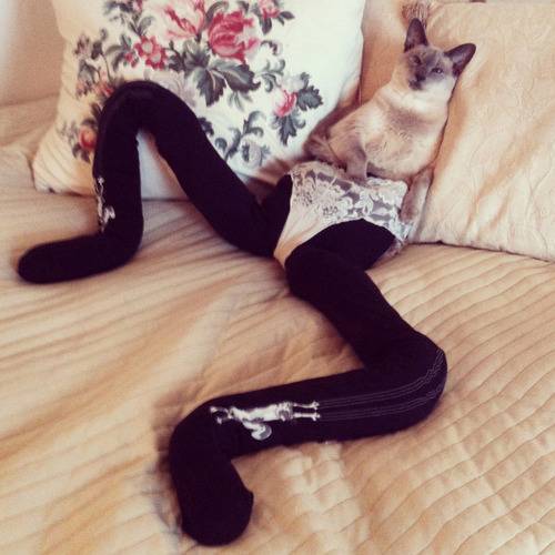 I challenge you to find a more terrifying sight than a cat wearing tights..