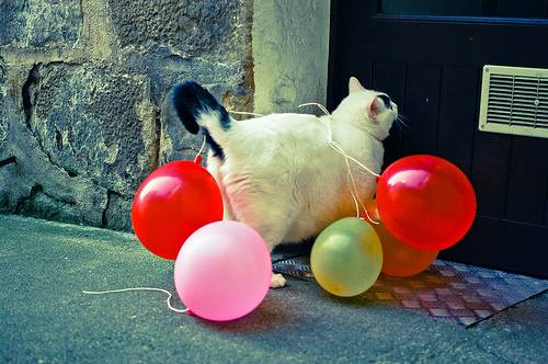 Party don't start till I walk in!