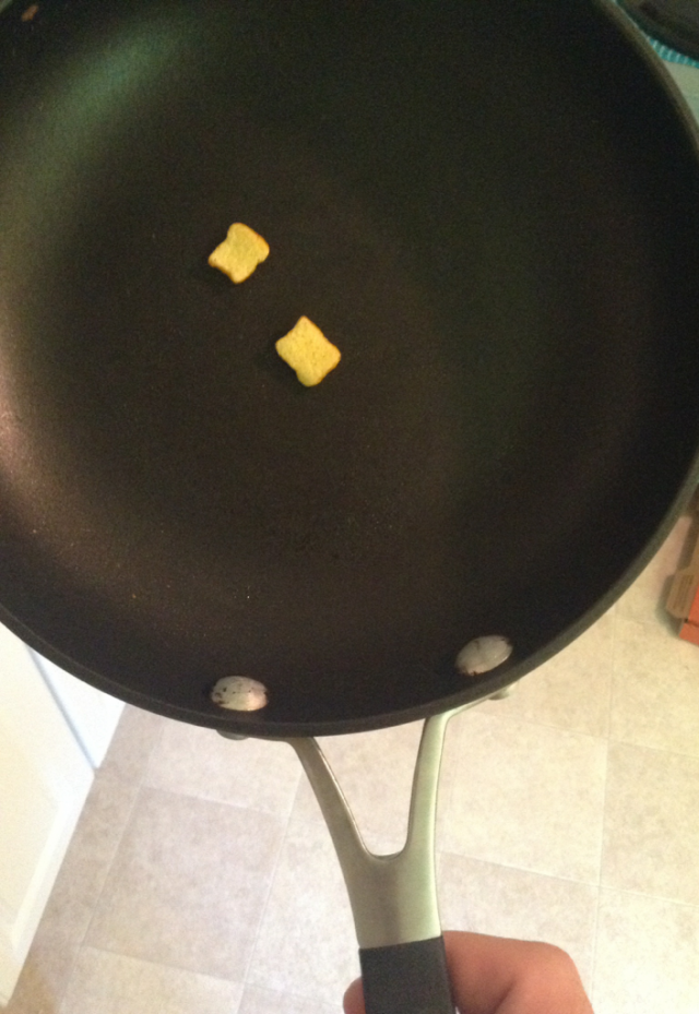 Wife left a note saying she left some french toast in the pan for me. Was disappointed