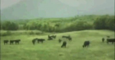 GIFS That Are Nothing Short Of Magical...Literally