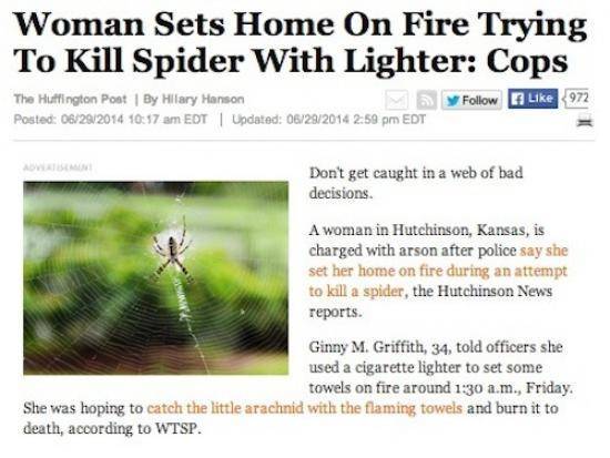 Could’ve easily happened to any of us when dealing with a spider