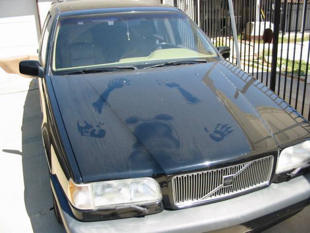 Somebody sure had fun here