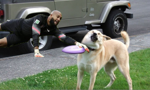 Tim Howard saves