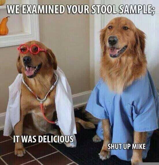 I Have No Idea Why I Found This So Funny
