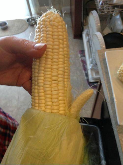 My corn has a p*nis.