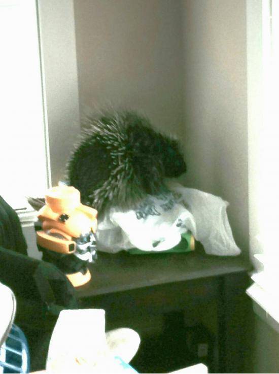 An international student ran into our office wearing oven mitts, panicking about a 