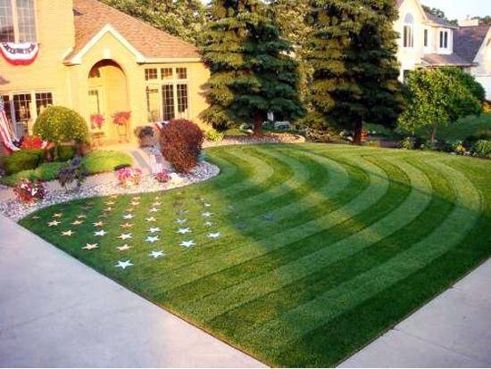 Murica lawn