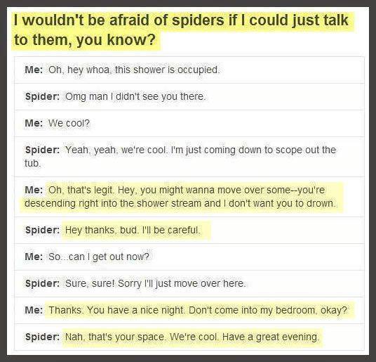 Spiderbros