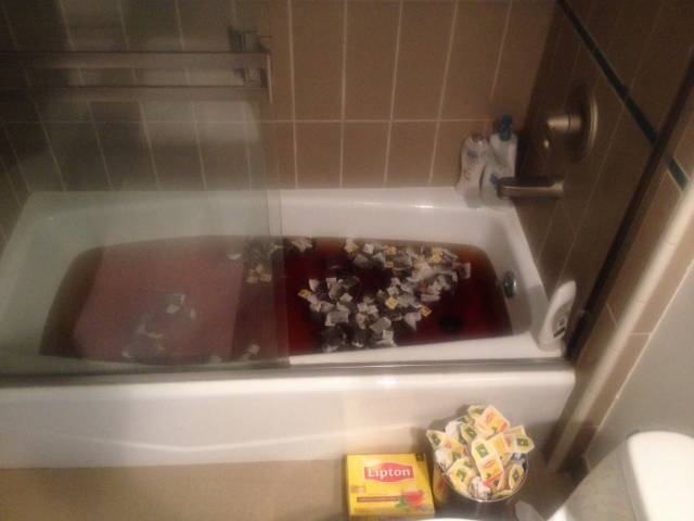 My friend's roommate is English - he came home yesterday to find this party in his bathtub