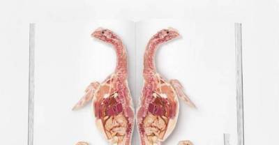Brilliant And Eye Popping Double Page ADs