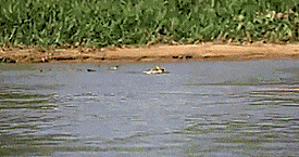 Damn nature, U SCARY!