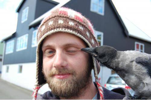 Random friendly crow appeared, wanted to take a selfie, when ‘f*ck you eye!’ (eye is ok, no need to worry)