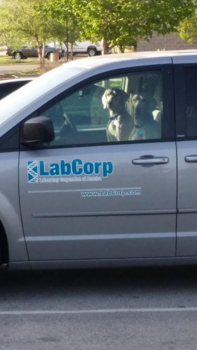 I feel like lab Corp is judging me.