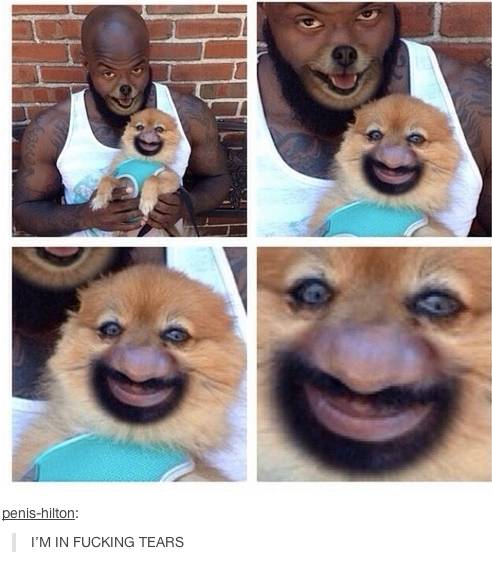 Face Swap Reloaded
