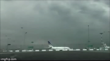 Airport workers with too much time on their hands.