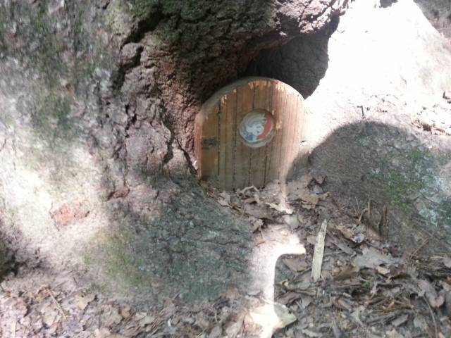 Found someones home while playing Frisbee golf in North Carolina.