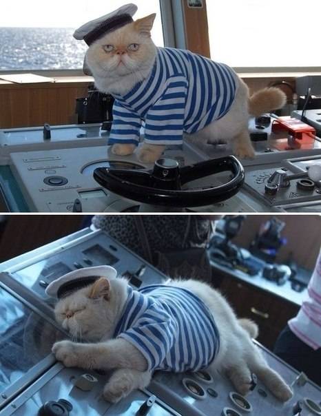 Just saw this guy on russian cruiser Peter the Great