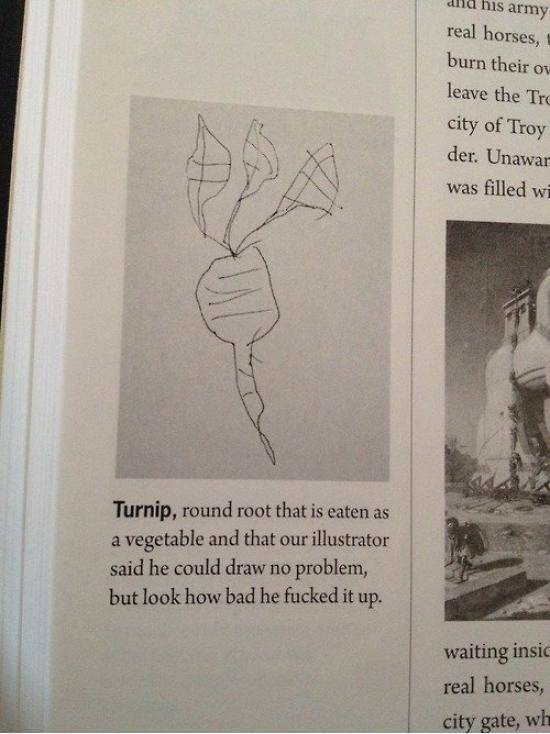 Turnip.