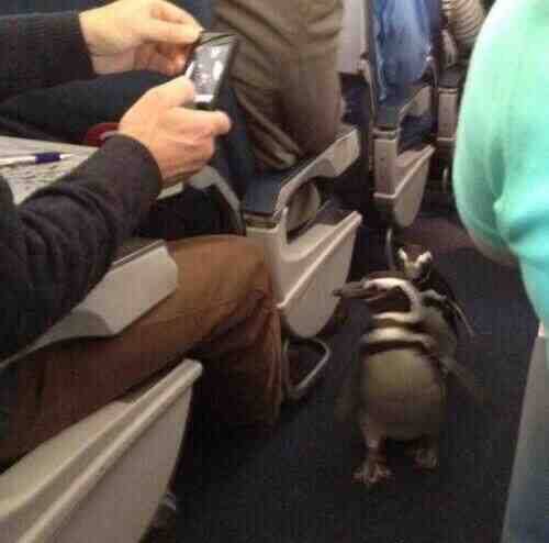 Just smile and wave boys, smile and wave