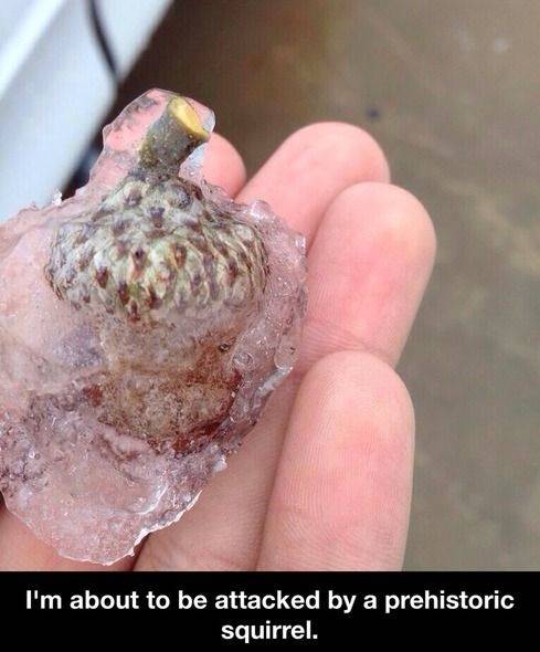 Found this earlier today.
