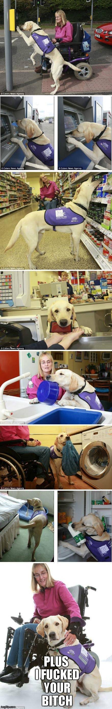 This dog is a boss
