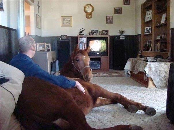 Will you please shut the f*ck up we're trying to watch tv
