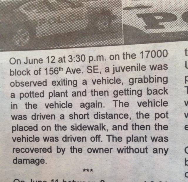 I live amongst hooligans.