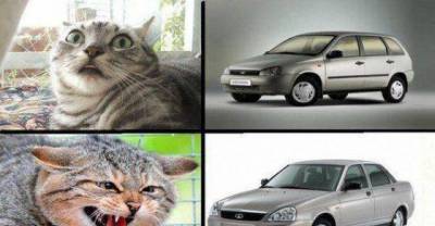 Fun of Silly Car Humor part 2...