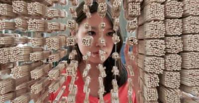 portrait Made With chopsticks...