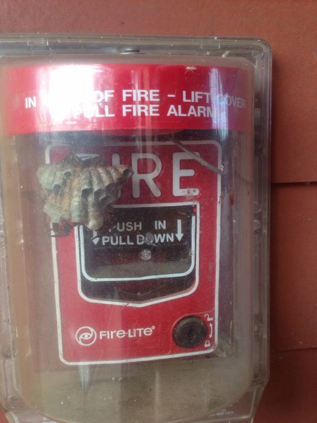 I guess we will all just burn