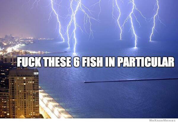 The earth works in mysterious ways