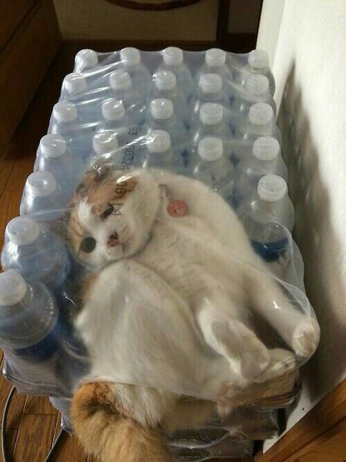 Regret in one face.