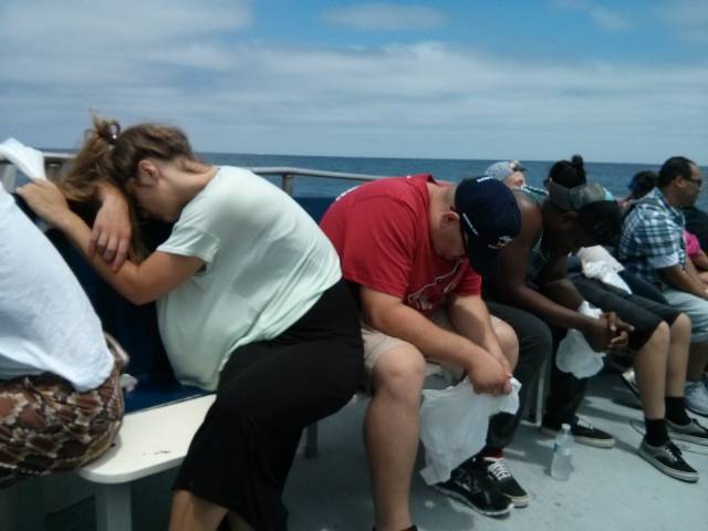 So I went whale watching, and this is how much fun most people were having...