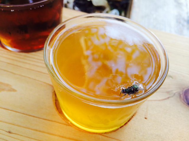 Two Flies Having S3x While Drowning in my Beer.