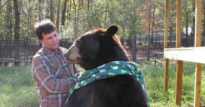 Unusual Animal Friendships That Will Melt Your Heart...