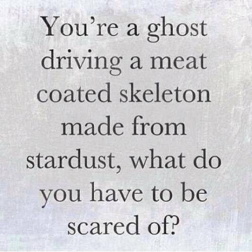 Inspirational Quotes: Quote of the day