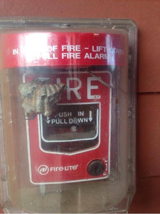 I guess we will all just burn