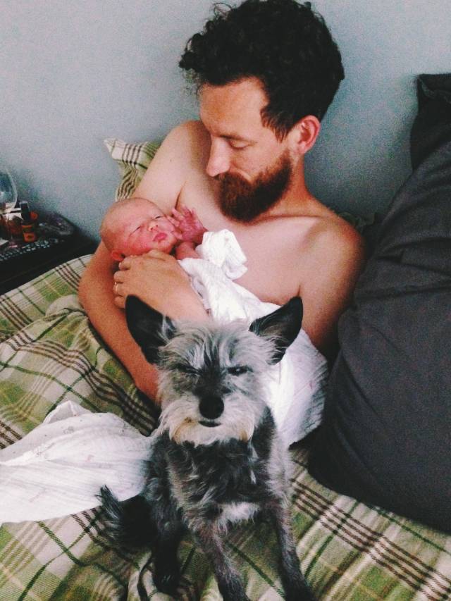 Just had our first baby.. our dog is not thrilled.