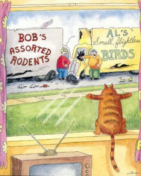 I hardly ever see Far Side on here, surely I'm not the only one that enjoys it.
