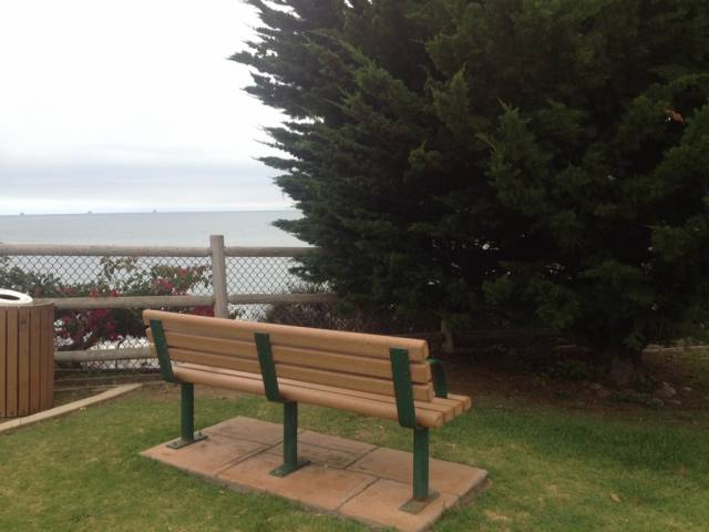 Oh! What a beautiful beach. Let me just sit down and stare at this f*cking tree right here.