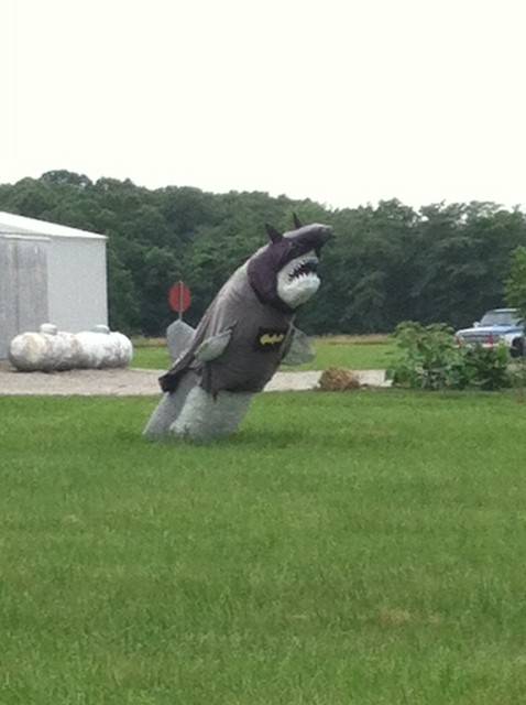 Was driving around in the country when I passed this.
