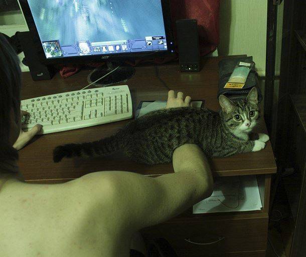 Cat has caught the mouse!