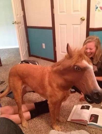 Matched his fur a bit too well..