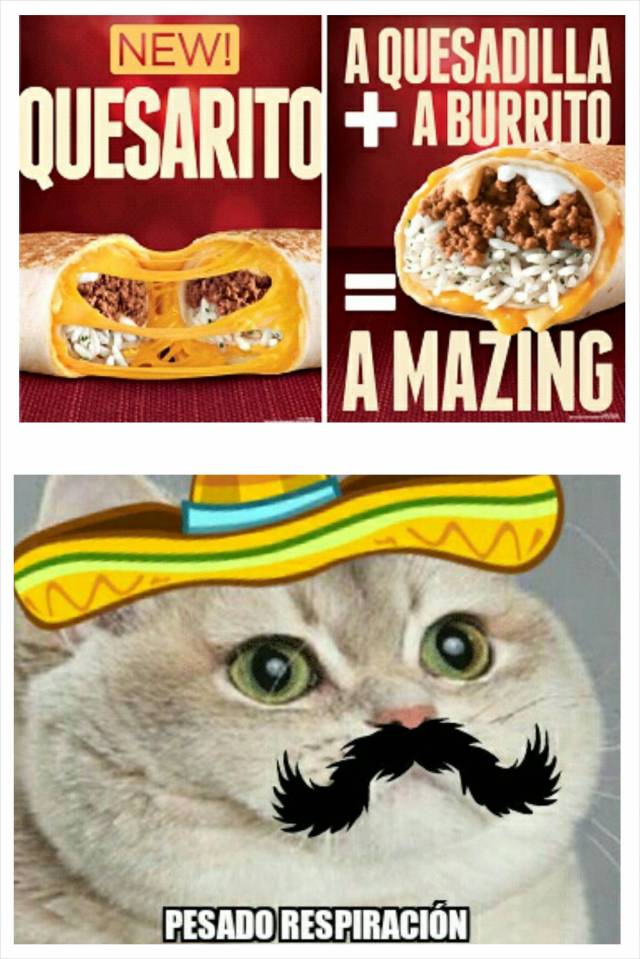 Taco Bell Queserito? Pesado Respiración