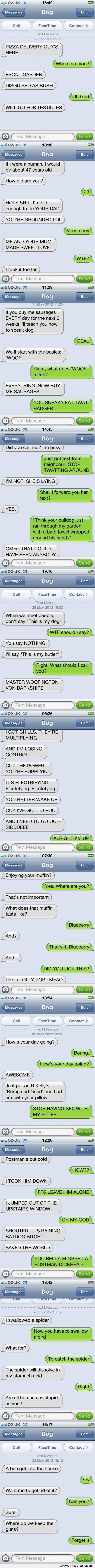 If your dog could text...