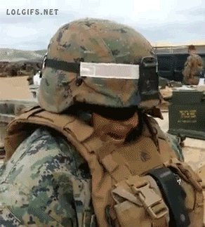 Oh, it’s a marine turtle.