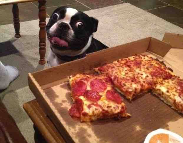 This is how I feel about bo+bs... and pizza actually
